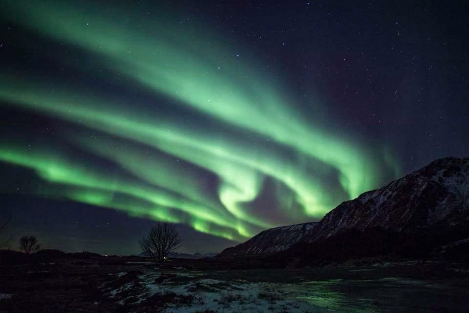Midnattsolveien 3158,Sommarhusstrand Laukvik Lofoten Norway Exterior foto