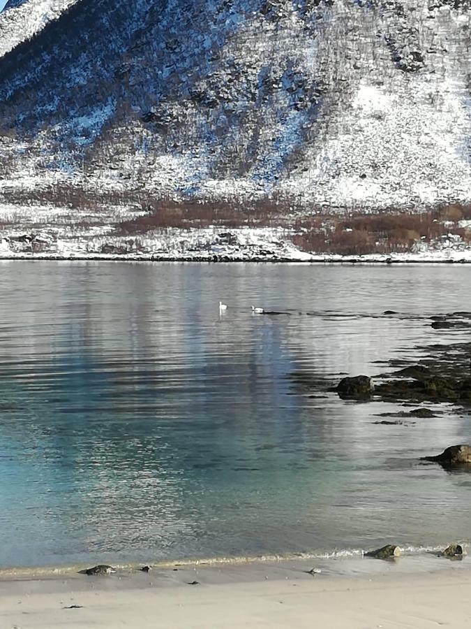 Midnattsolveien 3158,Sommarhusstrand Laukvik Lofoten Norway Exterior foto